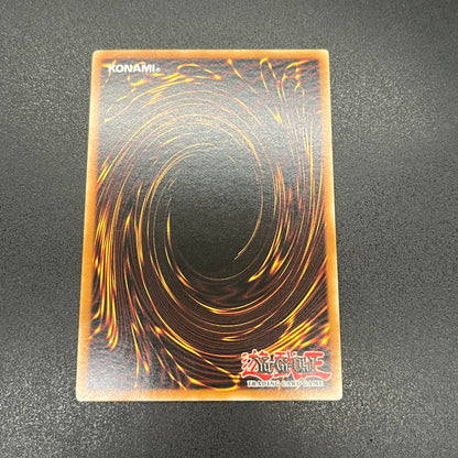 遊戯王　インセクト女王/シークレット/イタリア/EU版