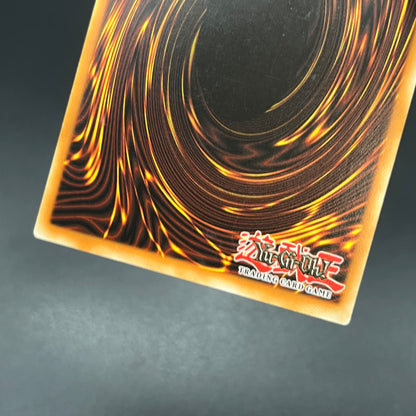 遊戯王　ハーピィズペット仔竜/レリーフ/ドイツ語/1st/EU版