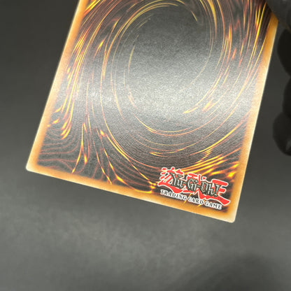 遊戯王　宇宙獣ガンギル/レリーフ/ドイツ/1st/EU版