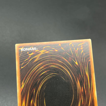 遊戯王　ナチュル・バンブーシュート/レリーフ/ドイツ/1st/EU版