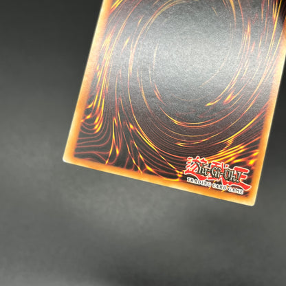 遊戯王　真紅眼の鋼炎竜/レリーフ/英語/1st/EU版