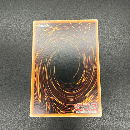 遊戯王　オッドアイズ・ボルテックス・ドラゴン/レリーフ/イタリア/1st/EU版