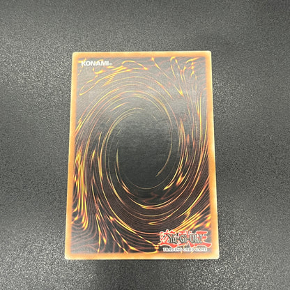 遊戯王　死のデッキ破壊ウイルス/レリーフ/フランス/1st/EU版