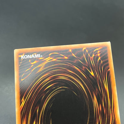 遊戯王　Ｎｏ.１７ リバイス・ドラゴン/レリーフ/ドイツ/1st/EU版