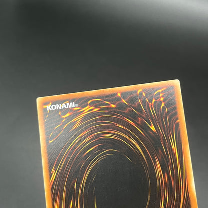 遊戯王　Ｎｏ.１０ 白輝士イルミネーター/レリーフ/ドイツ/EU版