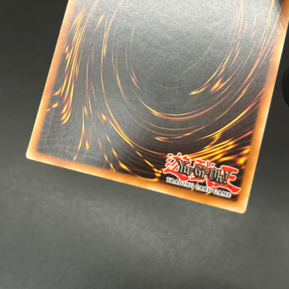 遊戯王　ライフ・ストリーム・ドラゴン/レリーフ/スペイン/1st/EU版