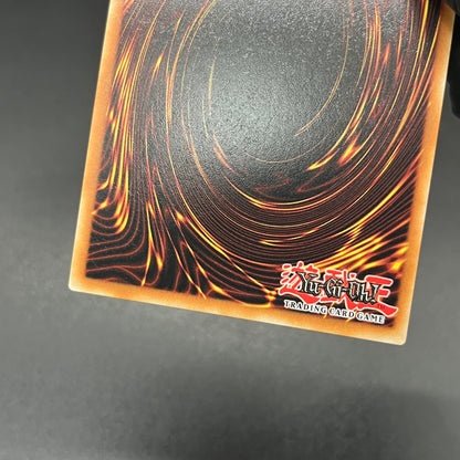 遊戯王　Ｍ∀ＬＩＣＥ＜Ｐ＞Ｗｈｉｔｅ Ｒａｂｂｉｔ/コレクターズ/英語/1st/EU