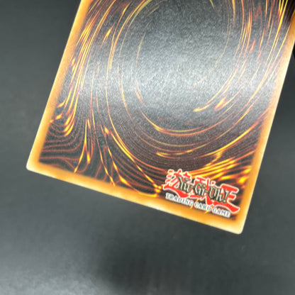 遊戯王　ブラッド・マジシャン－煉獄の魔術師－/レリーフ/ドイツ語/EU版