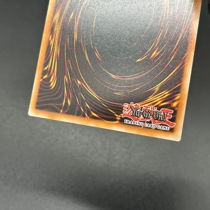 遊戯王　トゥーン・キングダム/レリーフ/英語/EU版