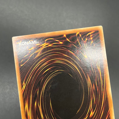 遊戯王　ブラック・マジシャン・ガール/シークレット/ドイツ語/EU