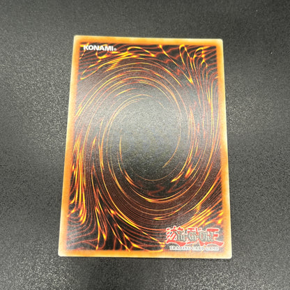 遊戯王　聖殿の水遣い/コレクターズ/英語/1st/EU版