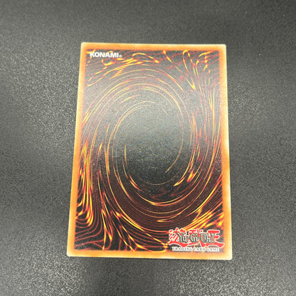 遊戯王　竜騎士ブラック・マジシャン・ガール/クオシク/英語/1st/EU版