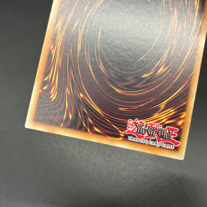 遊戯王　ドラゴンメイド・チェイム/シークレット/英語/1st