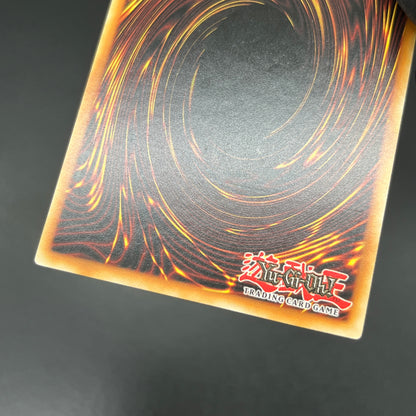 遊戯王　クリアウィング・シンクロ・ドラゴン/レリーフ/イタリア語/1st/EU版