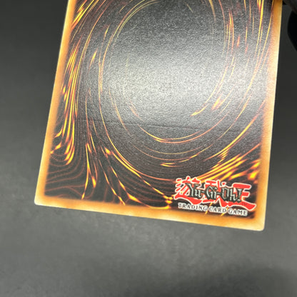 遊戯王　ライトニング・ボルテックス/レリーフ/ドイツ語/EU