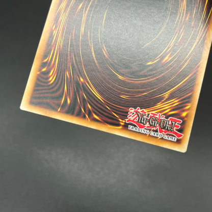 遊戯王　ドラゴンメイド・チェイム/シークレット/英語/1st