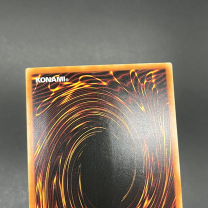 遊戯王　覇王黒竜オッドアイズ・リベリオン・ドラゴン/レリーフ/イタリア/1st/EU版