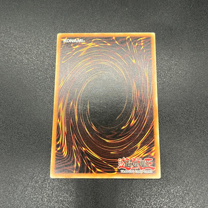 遊戯王　天罰/レリーフ/ドイツ/EU版