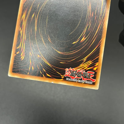 遊戯王　暗黒界の魔神 レイン/レリーフ/ドイツ/1st/EU版