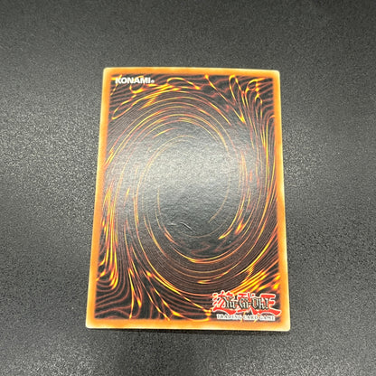 遊戯王　寄生虫パラサイド/スーパー/ドイツ/EU