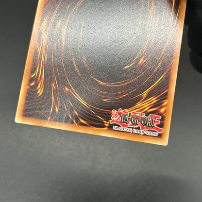 遊戯王　Ｍ∀ＬＩＣＥ＜Ｐ＞Ｄｏｒｍｏｕｓｅ/コレクターズ/英語/1st/EU