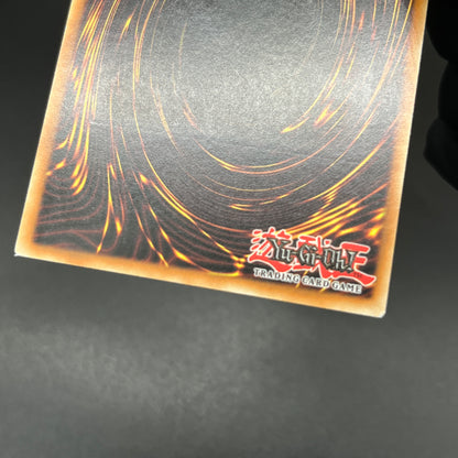 遊戯王　サイクロン・ブーメラン/レリーフ/ドイツ語/EU版