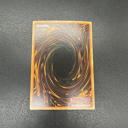 遊戯王　寄生虫パラサイド/スーパー/ドイツ/EU