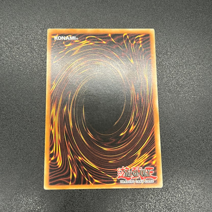 遊戯王　サイバー・シャドー・ガードナー/レリーフ/ドイツ語/1st/EU