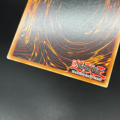 遊戯王　Ｍ∀ＬＩＣＥ＜Ｑ＞ＷＨＩＴＥ ＢＩＮＤＥＲ/コレクターズ/英語/1st/EU