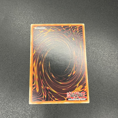 遊戯王　エヴォルカイザー・ドルカ/シークレット/イタリア/1st/EU版