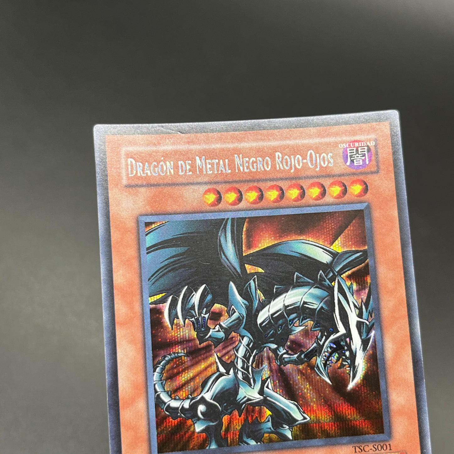 遊戯王　レッドアイズ・ブラックメタルドラゴン/シークレット/スペイン/EU版