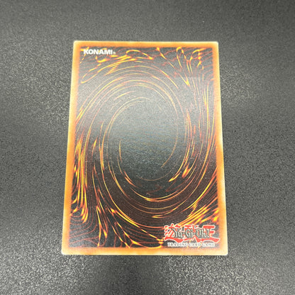 遊戯王　トゥーン・キングダム/レリーフ/英語/EU版