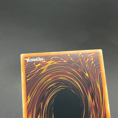 遊戯王　聖殿の水遣い/レリーフ/英語/EU版