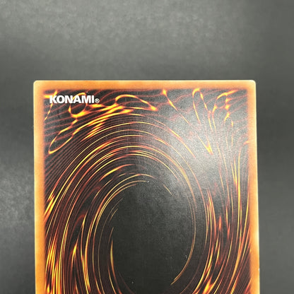 遊戯王　エンシェント・フェアリー・ドラゴン/レリーフ/フランス/EU版