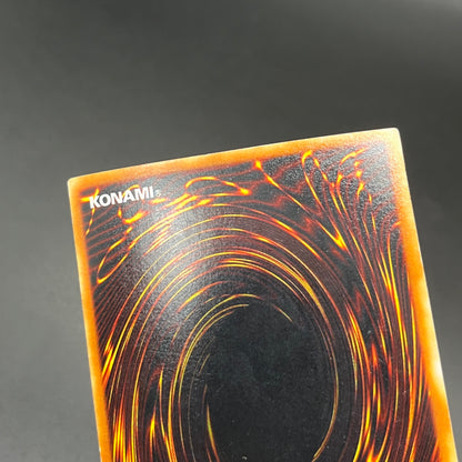 遊戯王　レッドアイズ・ブラックメタルドラゴン/シークレット/スペイン/EU版