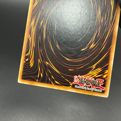 遊戯王　誘発召喚/レリーフ/イタリア/EU版