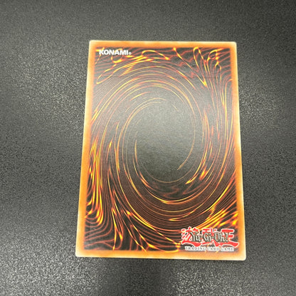 遊戯王　超銀河眼の光子龍/レリーフ/ドイツ/EU