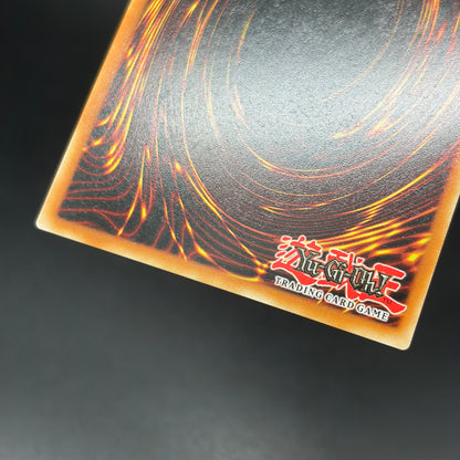 遊戯王　Ｍ∀ＬＩＣＥ＜Ｑ＞ＷＨＩＴＥ ＢＩＮＤＥＲ/コレクターズ/英語/1st/EU