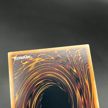 遊戯王　ブラック・マジシャン・ガール/クオシク/英語/1st/EU版