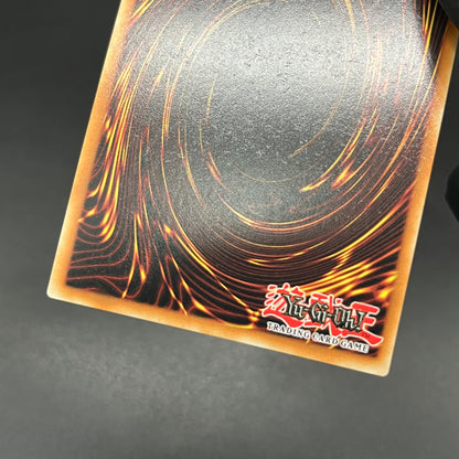 遊戯王　Ｍ∀ＬＩＣＥ＜Ｑ＞ＷＨＩＴＥ ＢＩＮＤＥＲ/コレクターズ/英語/1st/EU