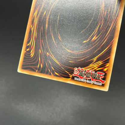 遊戯王　天罰/レリーフ/ドイツ/EU版