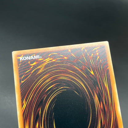 遊戯王　聖殿の水遣い/レリーフ/英語/EU版