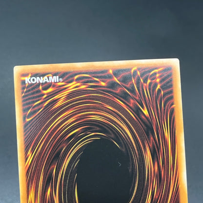 遊戯王　メタファイズ・ホルス・ドラゴン/レリーフ/英語/1st/EU版