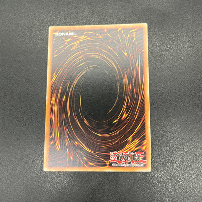 遊戯王　ダーク・アームド・ドラゴン/シークレット/英語/1st/EU版