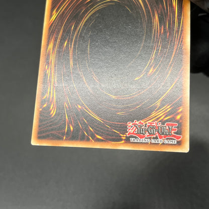 遊戯王　ストロング・ウィンド・ドラゴン/レリーフ/ドイツ/EU版
