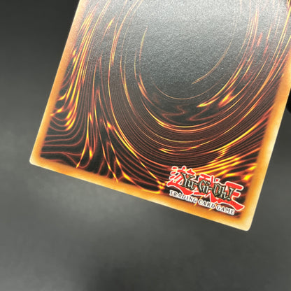 遊戯王　死のデッキ破壊ウイルス/レリーフ/フランス/EU版