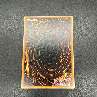 遊戯王　マスターモンク/レリーフ/ドイツ語/1st/EU版