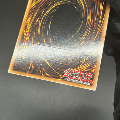 遊戯王　オーバーロード・フュージョン/レリーフ/スペイン/1st/EU版