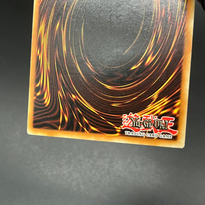 遊戯王　援護射撃/レリーフ/ドイツ/EU版