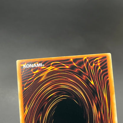 遊戯王　聖殿の水遣い/レリーフ/英語/EU版